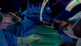 Trasplantan con éxito riñón de cerdo a un cuerpo humano