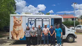 Llevarán servicios veterinarios a colonias con “VETO VAN”