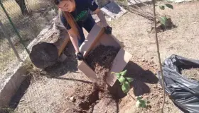 Realizan jóvenes reforestación en las instalaciones del Asilo