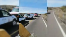 Impacta contra vaca en camino a Mascareñas