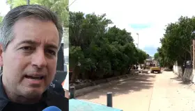 Derribarán 30 árboles en modernización de la Tecnológico