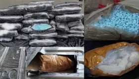 Decomisan más de medio millón de pastillas de fentanilo en EU