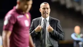 Cesan los Rayos a director técnico