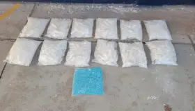 Aseguran narcóticos en vagón del tren; abren carpeta de investigación