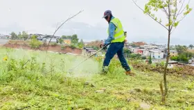 Mejoran imagen del periférico Luis Donaldo Colosio