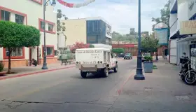 Atropellan a perro y lo deja mal herido