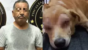 Arrestan a hombre por maltrato animal