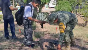 Termina campaña de reforestación de la Sedena