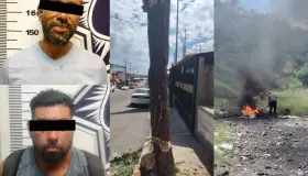 Logra Policía Ambiental arresto de dos personas