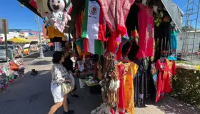 Reportan bajas en ventas de productos patrios