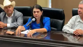 Descartan redireccionar recursos a pago de recibos de la CFE