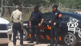 Cunde pánico por supuesto escape de tigre; fue un mal entendido