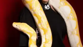 Concientizan sobre animales exóticos