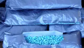 Autoridades de la CBP logra importantes decomisos