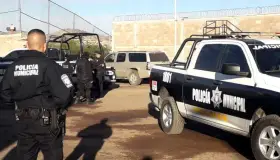 Escapan dos ‘pitbulls’ de casa y atacan a perro pequeño