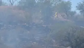 Apagan incendio forestal bomberos