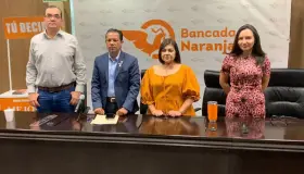 Proponen diputados de MC amparo colectivo contra CFE