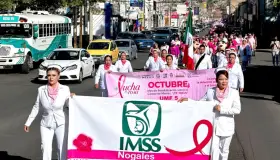 Marchas en contra del Cáncer de mama