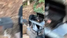 Deja oso sin hamburguesas y sin refresco a familia