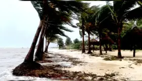 Toca tierra en Sinaloa “Norma”; quedan usuarios si luz