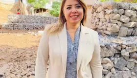 Tiene considerable avance obra en la Calle Torre Eifel