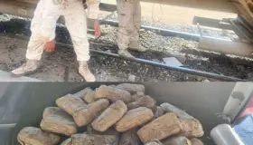 Localizan metanfetaminas en vagones del tren