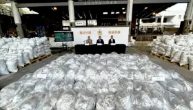 Decomisan más de una tonelada de narcóticos, venía de México en costales de Segalmex