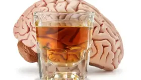 Tu cerebro tarda esto en repararse del daño causado por el alcohol