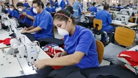 Más de 22 millones de empleos al cierre de octubre en México: IMSS