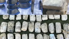 Incautan alrededor de 160 mil dosis de narcóticos en Nogales