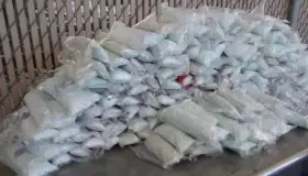 Decomisa la CBP más de medio millón de pastillas de fentanilo