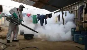 Aumenta ola de dengue un 433% entre 2022 y 2023