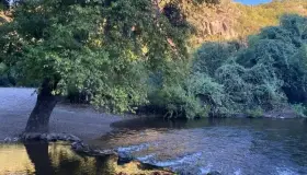 Señalan falta de transparencia en desviación de vías ferroviarias por ímuris