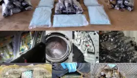 Decomisan casi 3 millones de pastillas de fentanilo en la frontera de Arizona