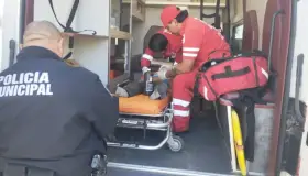 Atacan perros a niño, queda internado con lesiones graves