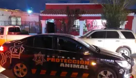 Escapa agresor de “Sbanch” de la justicia