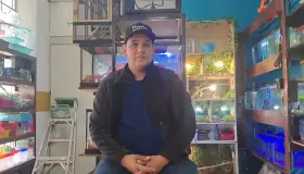 Emiten recomendaciones para mantener a salvo a mascotas