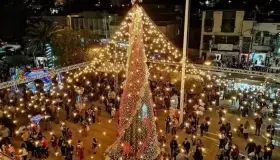 Encienden Árbol Navideño