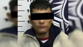 Detienen a estadounidense armado con un machete