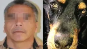 Agresor de la mascota ‘Sbanch’ está amparado; evita ser arrestado