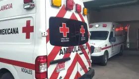 Detienen a persona que agredió de gravedad a su vecino