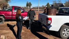 Investigan envenenamiento de una docena de perros en Mascareñas