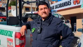 Prohiben venta de leña en la ciudad