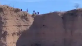 Bomberos rescatan a perro en Mascareñas