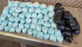 Aseguran CBP cargas de droga en casos distintos