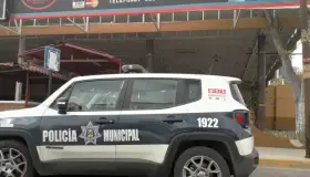 Se llevan varios instrumentos musicales de negocio comercial