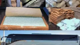 Encuentran más de 2 millones de pastillas de fentanilo en autobús