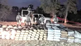 Localizan más de 2 toneladas y media de posible mariguana en Sonora