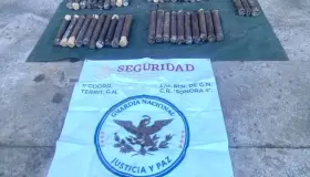 Aseguran tubos de PVC rellenos de narcóticos ocultos en tren