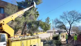 Poda Imagen Urbana árboles por riesgo de viviendas